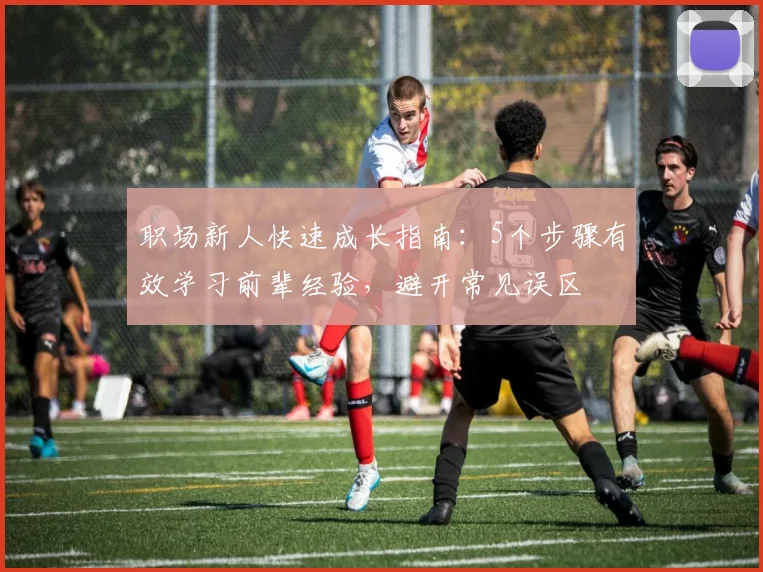 职场新人快速成长指南:5个步骤有效学习前辈经验,避开常见误区